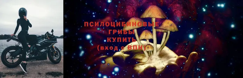 Галлюциногенные грибы MAGIC MUSHROOMS  Орск 